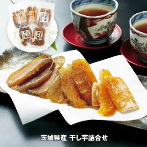 Ε 2025 Ε  P10{ 錧Y l yz_904 /  ʔ v[g Mtg  /