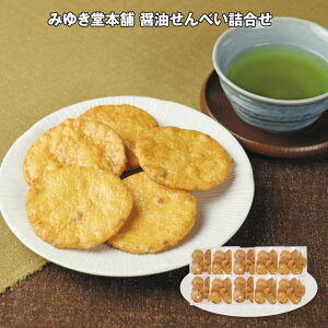 Ε 2025 Ε  P5{ ݂䂫{ ݖׂl 40g×10 yz_1055 /  ʔ v[g Mtg Ε  /