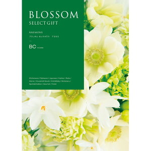 Ε 2025 Ε  P10{ ubT All J^OMtgyz_1058 /  ʔ v[g Mtg Ε  /