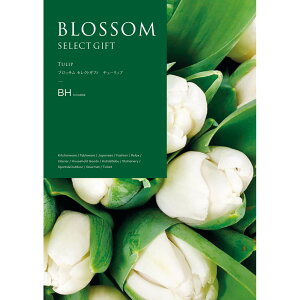 Ε 2025 Ε  P10{ ubT `[bv J^OMtgyz_1062 /  ʔ v[g Mtg Ε  /