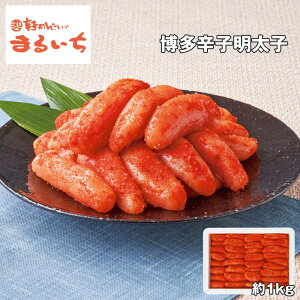 Ε 2025 Ε  P5{ ܂邢 hqq 1kg S0058 ߂񂽂yz_1078 /  ʔ v[g Mtg Ε  /