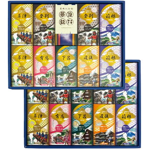 Ε 2025 Ε  P5{ Is p܃Mtg Cyz_1101 /  ʔ v[g Mtg Ε  /