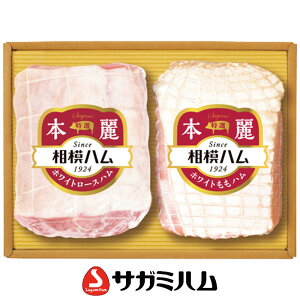 Ε 2025 Ε  P5{ ̓n {Mtg nMtgyz_1116 /  ʔ v[g Mtg Ε  /