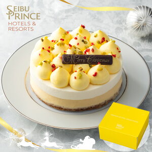 NX}XP[L 2025 \  P5{ vXze p[tFNg`[YP[L XC[c NX}XP[Lyz /  ʔ v[g Mtg Ε  /