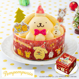 NX}XP[L 2025 \  P5{ ||v ̃JX^[hN[P[L v XC[c NX}XP[Lyz /  ʔ v[g Mtg Ε 