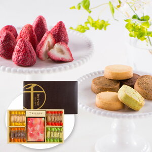 Ε 2025 Ε  P2{ D VRNbL[ XC[c mَqyz /  ʔ v[g Mtg Ε  /