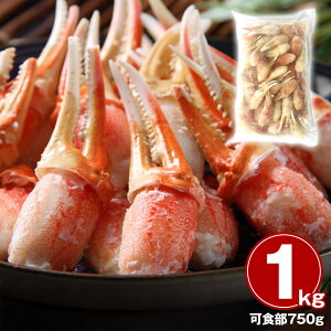 Ε 2025 Ε  P5{ kC {C킢ɒ I Jjyz /  ʔ v[g Mtg Ε  /