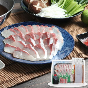 Ε 2025 Ε  P2{ 啪 LJ 啪Y ڂu ԃZbg Ԃ肵ԓyz /  ʔ v[g Mtg Ε  /