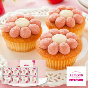 Ε 2025 Ε  P5{ Z{؃A}h ܂䕂̃t[P[L 8 YJ-AF XC[c mَqyz /  ʔ v[g Mtg  /