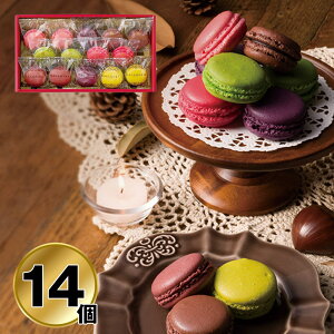 Ε 2025 Ε  P5{ _C G߂̃}Jlߍ킹 14 25WMS30 9801-011 XC[c mَqyz /  ʔ v[g Mtg  /