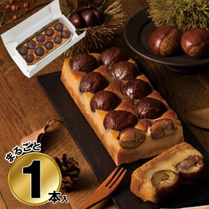 Ε 2025 Ε  P5{ ِSJ I C 9802-013 XC[c } P[Lyz /  ʔ v[g Mtg  /