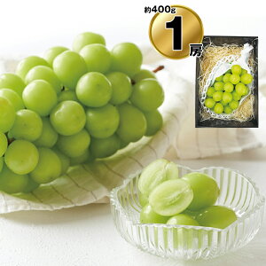 お歳暮 2025 御歳暮 早割 P10倍 長野県産 シャインマスカット 9808-053 フルーツ 果物【送料無料】 / お取り寄せ 通販 プレゼント ギフト おすすめ /