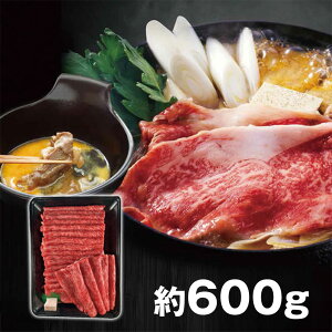 Ε 2025 Ε  P5{ ݖa ݖaԗpԐg 600g UMSC60-MAN 9809-031 yz /  ʔ v[g Mtg  /