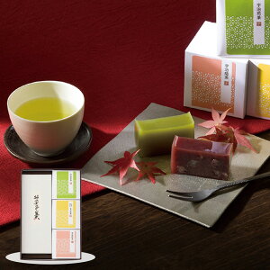 【お歳暮2025】菓心谷常 絹ごし羊かん 抹茶 1本・宇治茶セット 9810-034 和菓子 ようかん スイーツ【送料無料】 / お取り寄せ 通販 プレゼント ギフト おすすめ /
