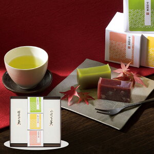 Ε 2025 Ε  P10{ ِSJ r Eq 2{EFZbg 9810-046 aَq 悤 XC[cyz /  ʔ v[g Mtg  /