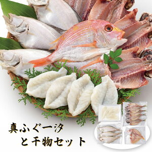 Ε 2025 Ε  P5{ ^ӂꎬƊZbg K-7 9811-024 tOyz /  ʔ v[g Mtg  /