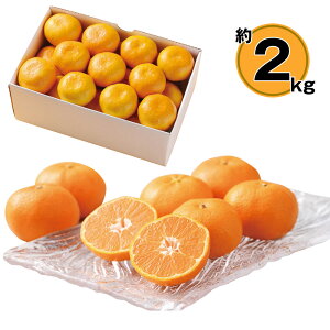 yΕ2025zQY ݂2kg 9811-036 t[c ʕyz /  ʔ v[g Mtg  /