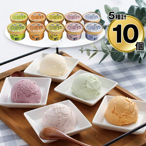 【お歳暮2025】乳蔵 北海道アイスクリーム5種10個 110130 9825-059 スイーツ アイス【送料無料】 / お取り寄せ 通販 プレゼント ギフト おすすめ /
