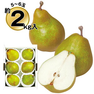 Ε 2025 Ε  P10{ ݉̎R`YEtX2kg 9830-012 t[c ʕyz /  ʔ v[g Mtg  /