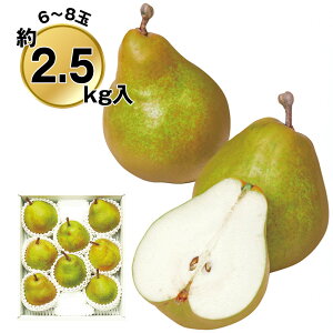 Ε 2025 Ε  P10{ ݉̎R`YEtX2.5kg 9830-024 t[c ʕyz /  ʔ v[g Mtg  /