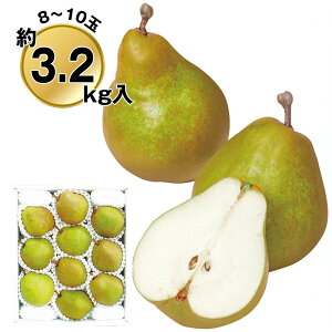 yΕ2025z݉̎R`YEtX3.2kg 9830-036 t[c ʕyz /  ʔ v[g Mtg  /