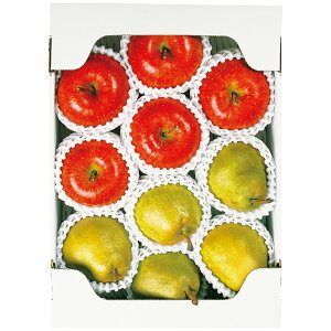 Ε 2025 Ε  P5{ ݉̎R`YTӂ񂲂ƃEtX3kg 9830-048 t[c ʕyz /  ʔ v[g Mtg  /