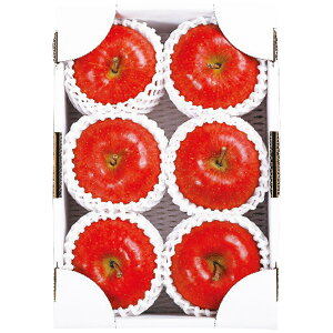 Ε 2025 Ε  P5{ ݉̎R`YTӂGi2kg 9830-050 t[c ʕyz /  ʔ v[g Mtg  /