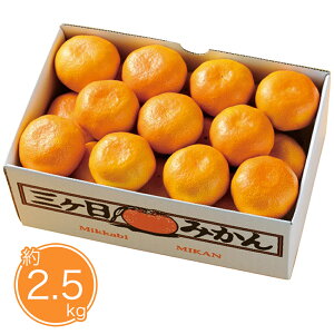 Ε 2025 Ε  P10{ ÉY O݂2.5kg 9831-014 t[c ʕyz /  ʔ v[g Mtg  /