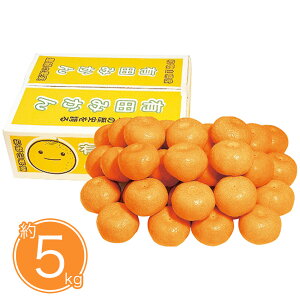 【お歳暮2025】和歌山県産 有田みかん約5kg 9831-038 フルーツ 果物【送料無料】 / お取り寄せ 通販 プレゼント ギフト おすすめ /