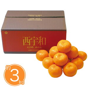 Ε 2025 Ε  P5{ QY ݂3kg 9831-040 t[c ʕyz /  ʔ v[g Mtg  /