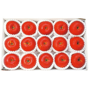 【お歳暮2025】長野県産 信州サンふじ 約3.4kg 9831-052 フルーツ 果物【送料無料】 / お取り寄せ 通販 プレゼント ギフト おすすめ /