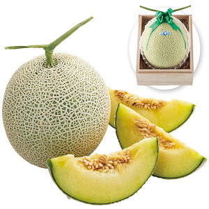 お歳暮 2025 御歳暮 早割 P10倍 温室マスクメロン1玉 木箱入 9831-076 フルーツ 果物【送料無料】 / お取り寄せ 通販 プレゼント ギフト おすすめ /