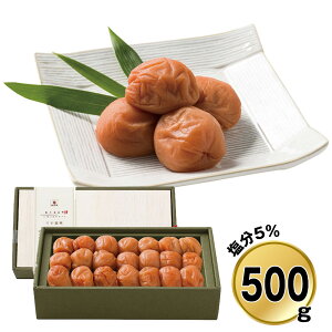 Ε 2025 Ε  P5{ ~ IB썂~ 255 9836-038 ~yz /  ʔ v[g Mtg  /