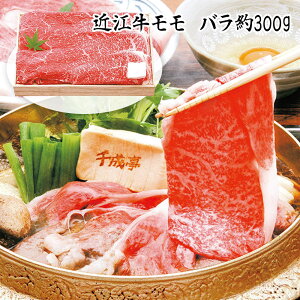 Ε 2025 Ε  P5{ 琬 ߍ] Ă 300g SEN-111 9841-027 Zbg Ăyz /  ʔ v[g Mtg  /