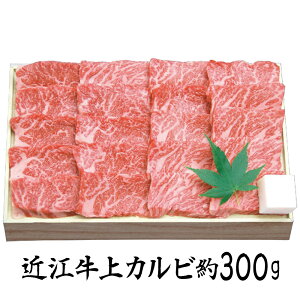 Ε 2025 Ε  P5{ 琬 ߍ] Jrē 300g SEN-351 9841-077 yz /  ʔ v[g Mtg  /