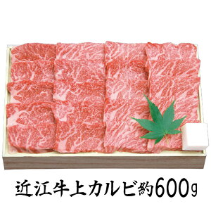 Ε 2025 Ε  P5{ 琬 ߍ] Jrē 600g SEN-352 9841-089 yz /  ʔ v[g Mtg  /