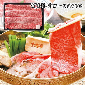 Ε 2025 Ε  P5{ 琬 ߍ] [XĂ 300g SEN-161 9841-091 yz /  ʔ v[g Mtg  /