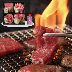 Ε 2025 Ε  P10{ ݖaĂ4{ݖZbg Y4S-MAN 9842-029 yz /  ʔ v[g Mtg  /