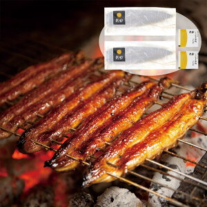 Ε 2025 Ε  P5{ Vy Ȃ 2 9846-027 ay Ăyz /  ʔ v[g Mtg  /