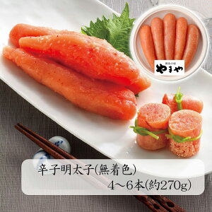 Ε 2025 Ε  P5{ ܂ Fhqq270g 31262 9847-017 ߂񂽂yz /  ʔ v[g Mtg  /