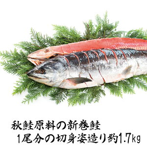 yΕ2025zVpؐg AR-C17 F 9848-019  TPyz /  ʔ v[g Mtg  /