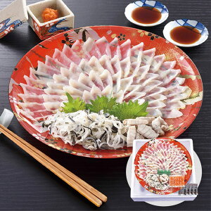 Ε 2025 Ε  P5{ ւƂ{X ƂӂhgZbg FS-100W6Z 9848-021 tOyz /  ʔ v[g Mtg  /