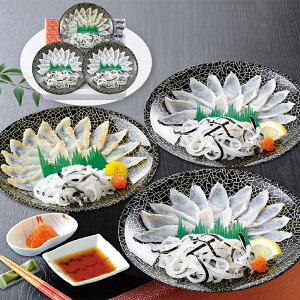 Ε 2025 Ε  P5{ ւƂ{X ӂl SK-50F2Z 9848-033 tOyz /  ʔ v[g Mtg  /