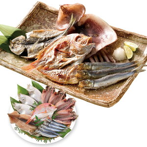 Ε 2025 Ε  P5{ C C } K-1 9849-059  yz /  ʔ v[g Mtg  /