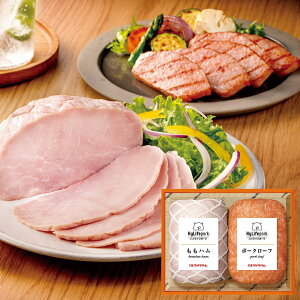 Ε 2025 Ε  P5{ E㊯RnCCt|[Ne[uďC MtgZbg HL-38 9853-010 nMtgyz /  ʔ v[g Mtg  /