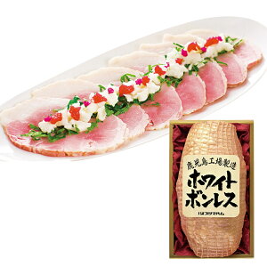 Ε 2025 Ε  P5{ v}n zCg{X 1.2kg WBO-N 9854-050 nMtgyz /  ʔ v[g Mtg  /