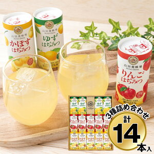 Ε 2025 Ε  P5{ Rc{I nj[hN3l HD-YAK30A 9863-100 W[Xyz /  ʔ v[g Mtg  /