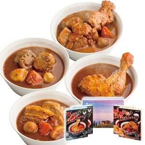 Ε 2025 Ε  P5{ JAӂ xǖX[vJ[Zbg FDSC-40 9873-024 J[yz /  ʔ v[g Mtg  /