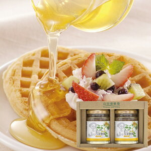 Ε 2025 Ε  P5{ Rc{I YI2{Zbg S2-H2 9876-020 ݂͂ nj[yz /  ʔ v[g Mtg  /