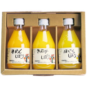 Ε 2025 Ε  P5{ ɓ_ 100sAW[Xl 50703 9879-115 t[cyz /  ʔ v[g Mtg  /